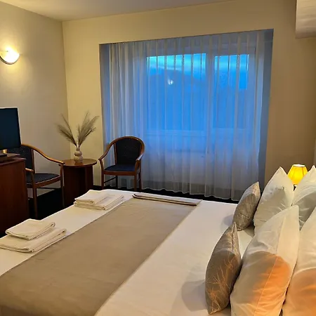 Excelsior 3* 蒂米什瓦拉