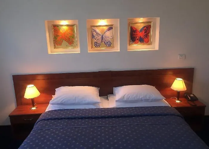 Excelsior Timişoara