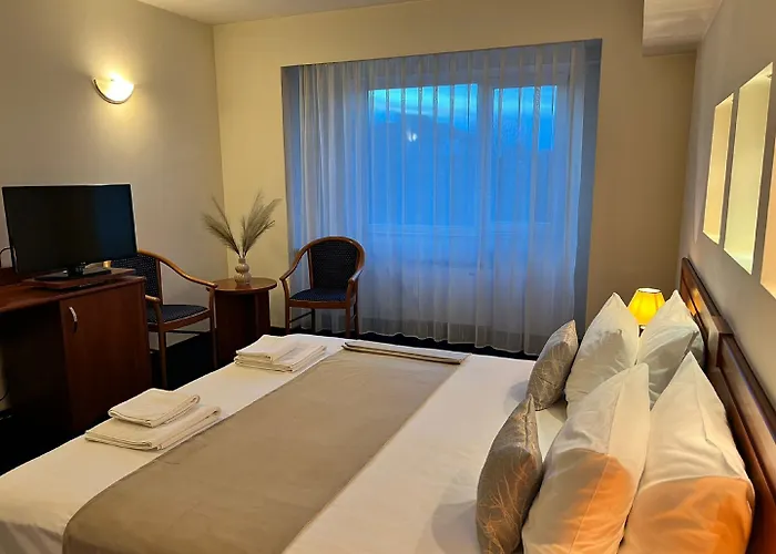 Excelsior 3* Timişoara