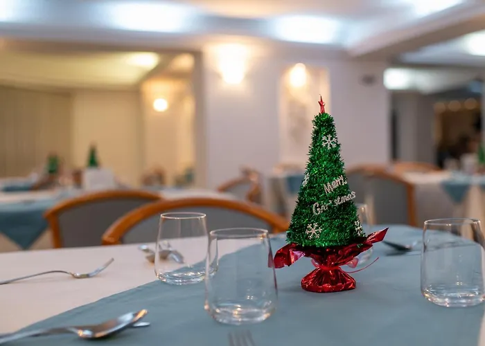 Excelsior Hotel Temešvár